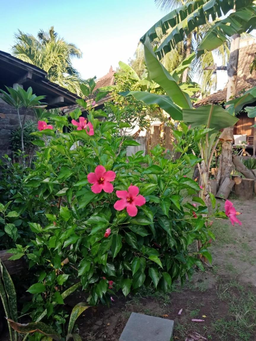 Blu D'Amare Hotel Gili Trawangan Luaran gambar